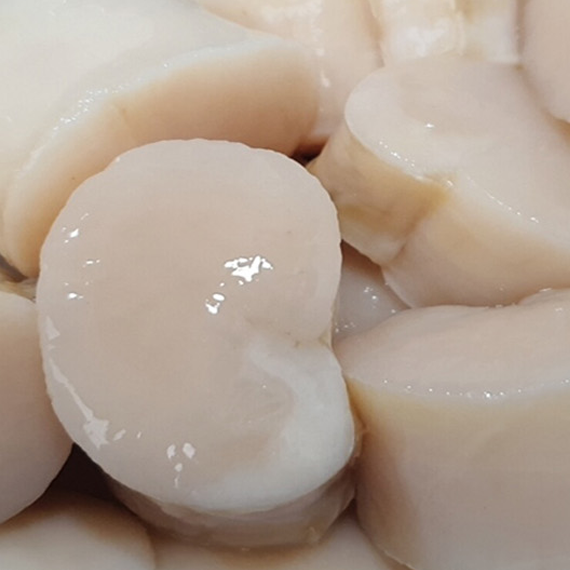 Natural biological key clam scallops sent on the same day