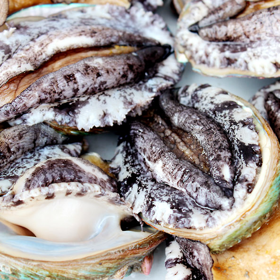 Jewel of the sea! Wando abalone uniform