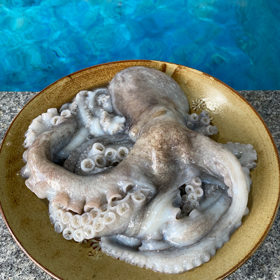 Quick Freezing! wild-caught king stone octopus