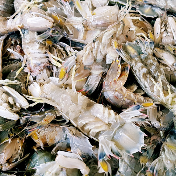 Unique appearance and different, plain taste! wild mantis crayfish